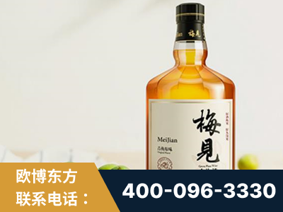 云浮-梅见青梅酒